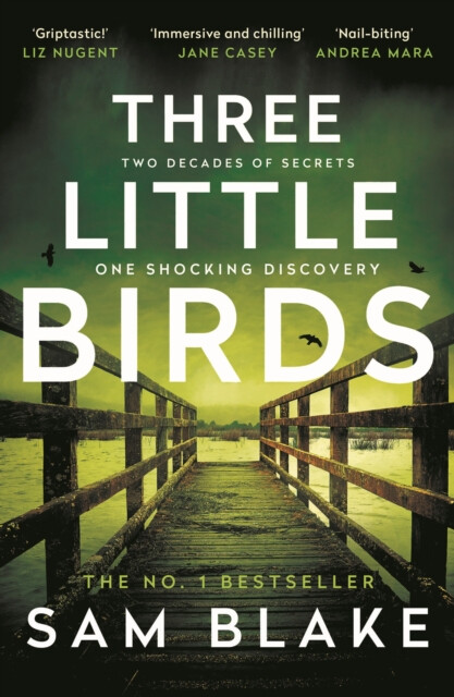Kniha Three Little Birds