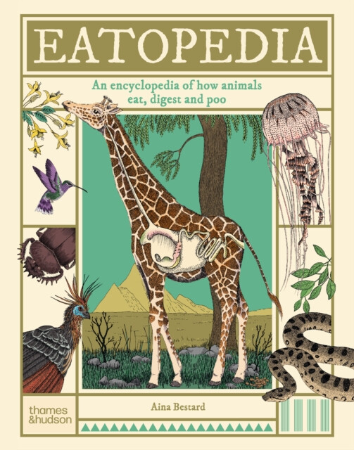 Kniha Eatopedia
