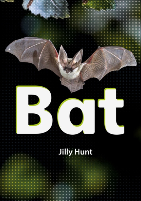 Kniha Bat (Set 02)