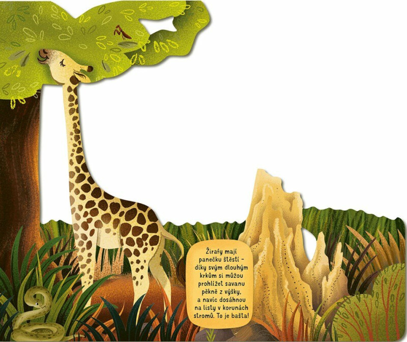 V savaně - Radka Píro (obrázek 3)