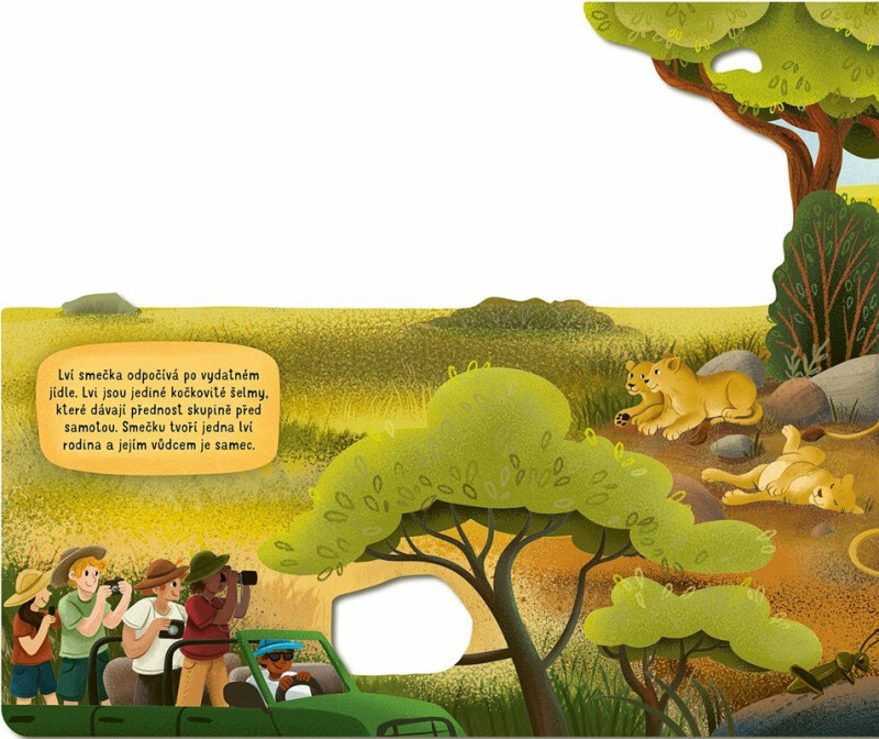 V savaně - Radka Píro (obrázek 4)