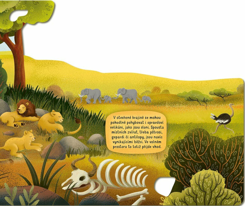 V savaně - Radka Píro (obrázek 5)