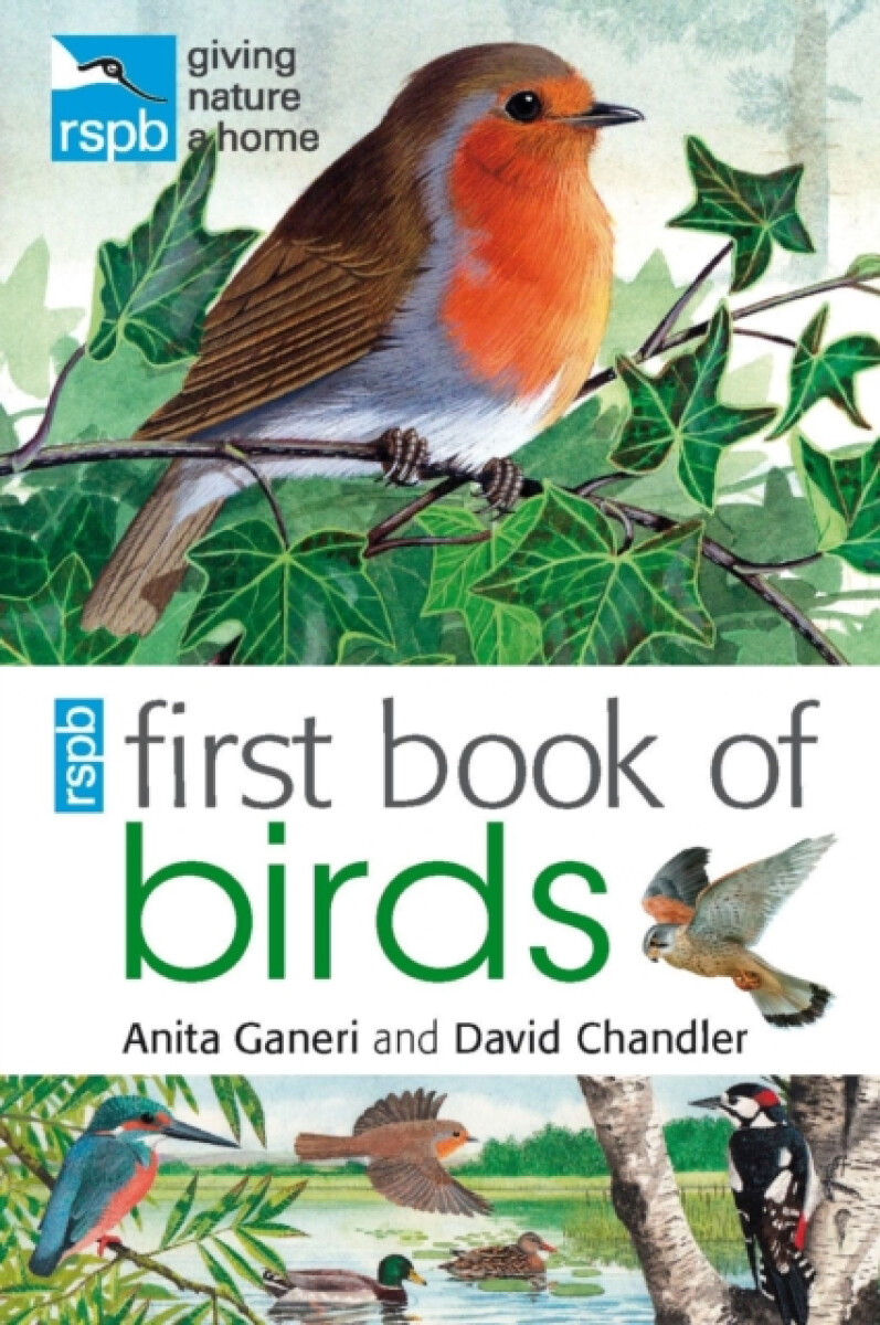 Kniha RSPB First Book Of Birds