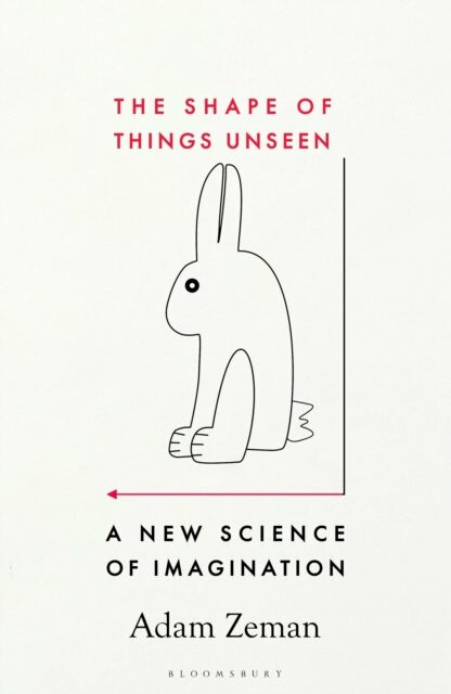 Kniha Shape of Things Unseen