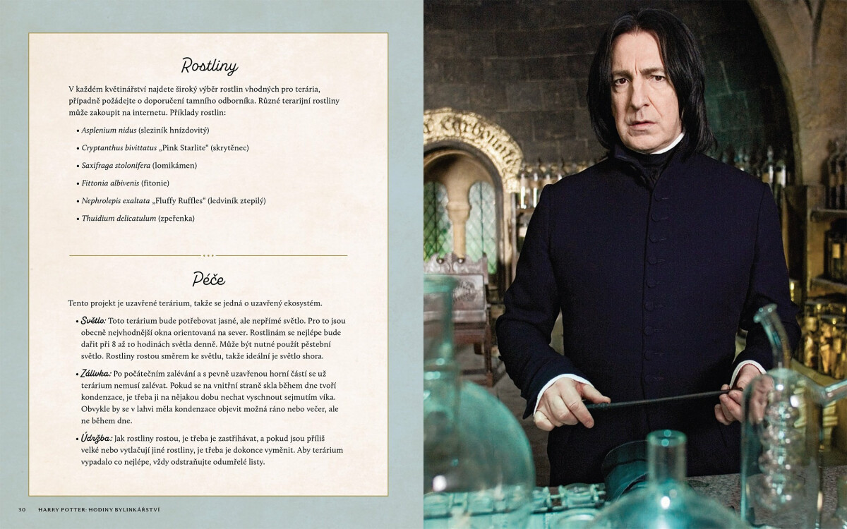 Harry Potter - Hodiny bylinkářství - Jody Revensonová (obrázek 4)
