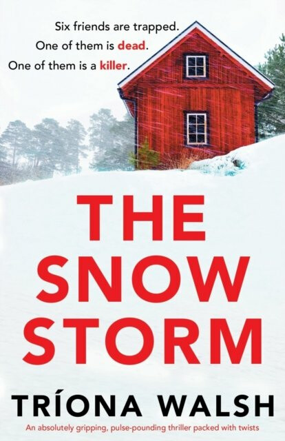 Snowstorm - Triona Walsh - Obrázek 2