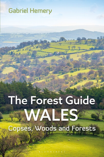 Kniha Forest Guide: Wales