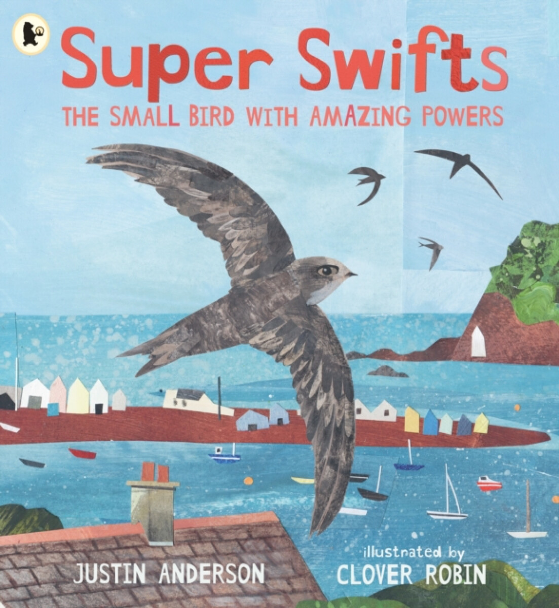 Kniha Super Swifts: The Small Bird With Amazing Powers
