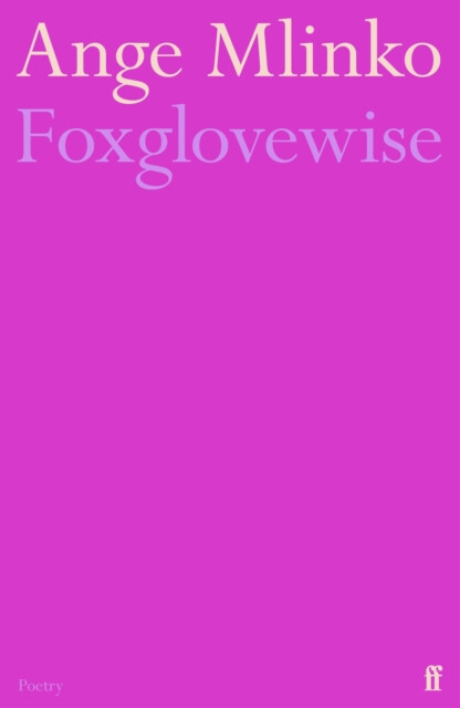 Kniha Foxglovewise