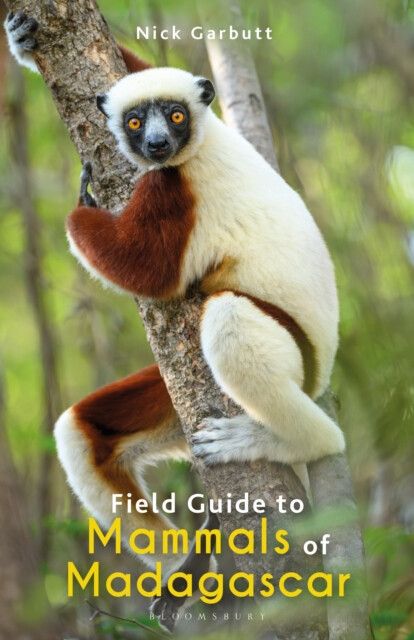Kniha Field Guide to Mammals of Madagascar