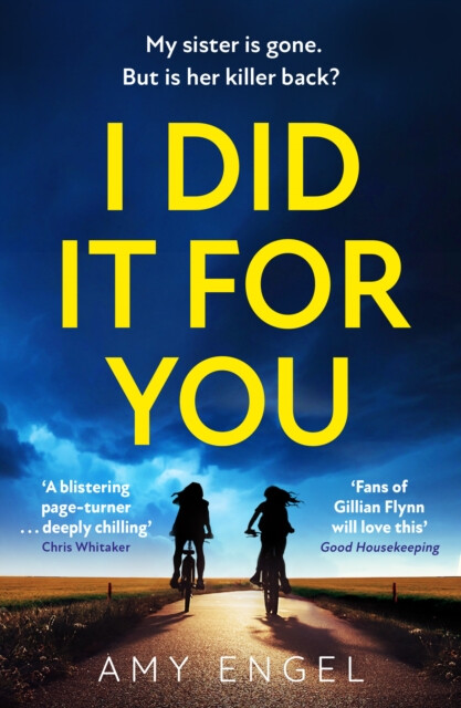 Kniha I Did It For You