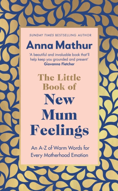 Kniha Little Book of New Mum Feelings