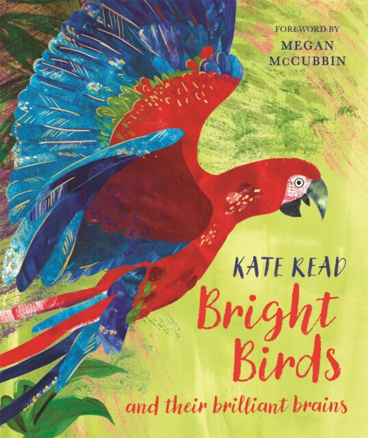 Kniha Bright Birds