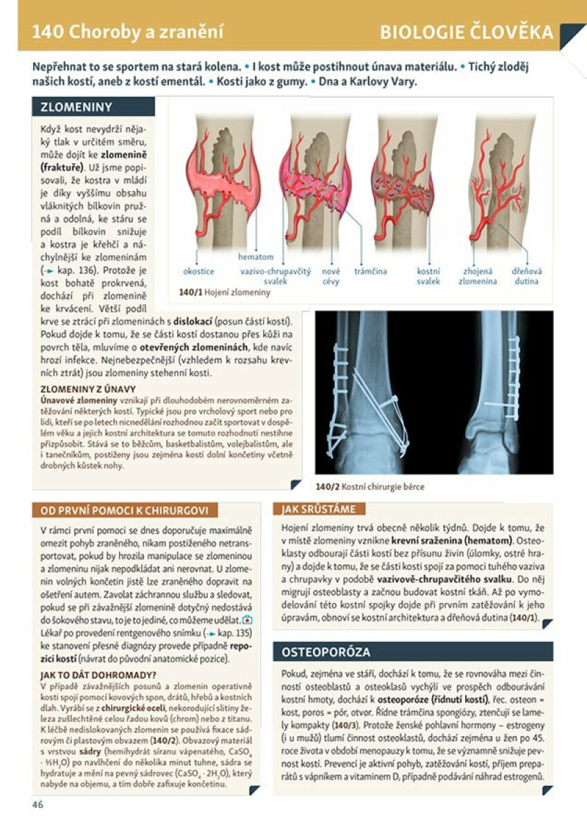 Biologie v souvislostech 2 - Mgr. Petr Šíma - Obrázek 4