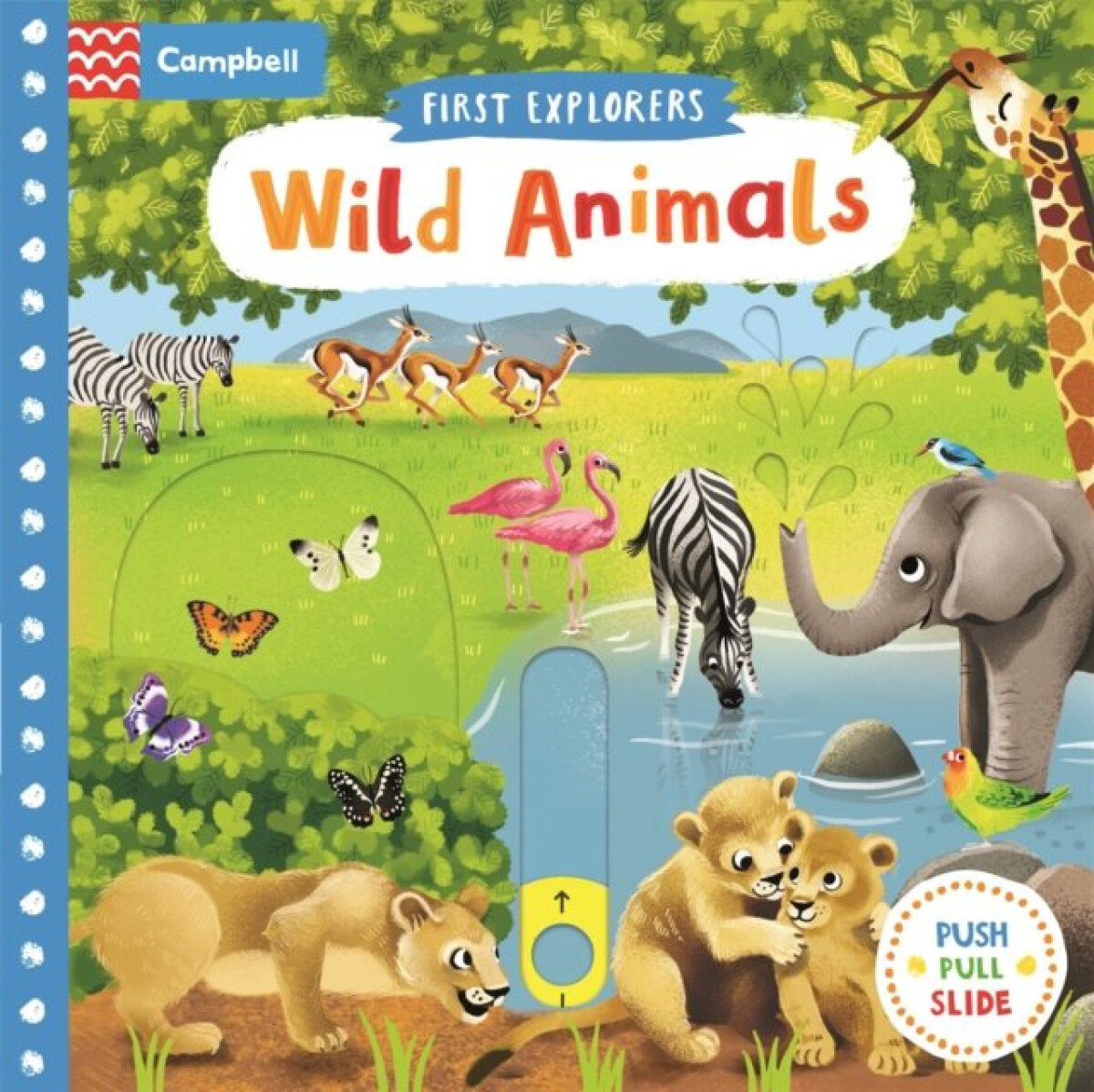 Kniha Wild Animals