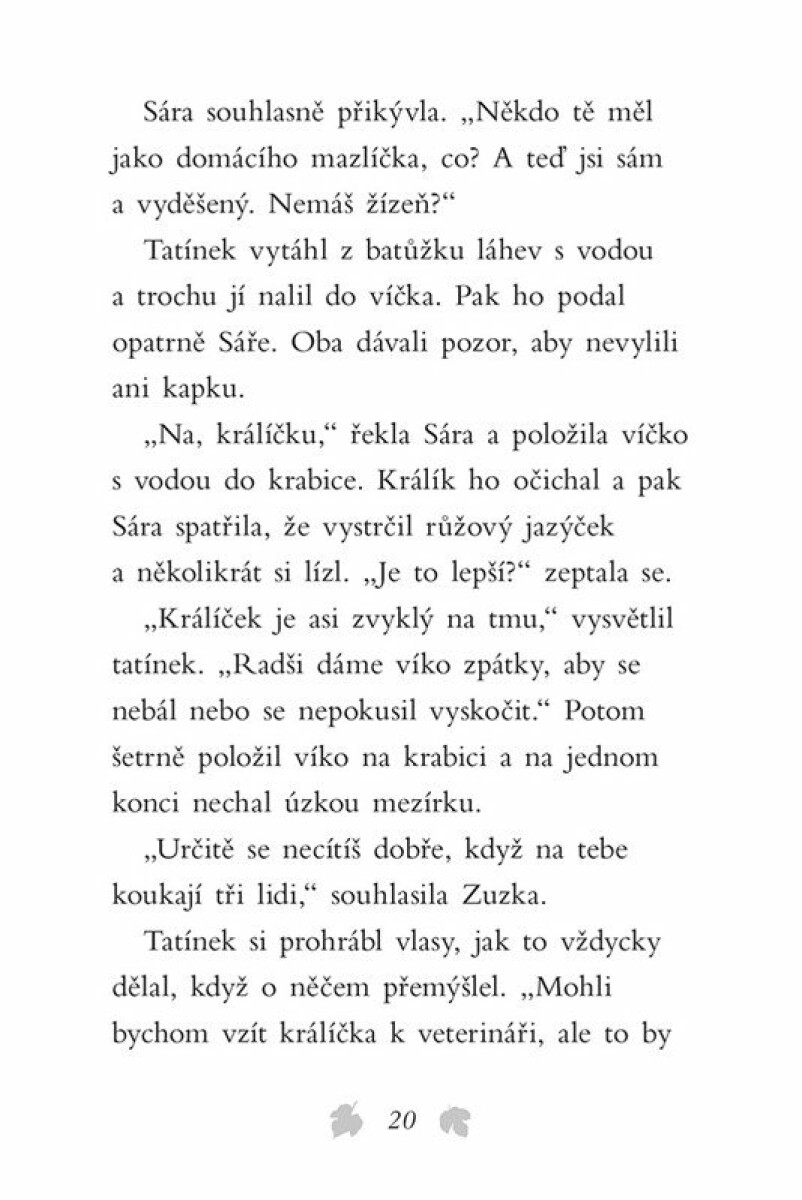 Příběhy se šťastným koncem - Osamělý králíček - Jill Hucklesby (obrázek 4)