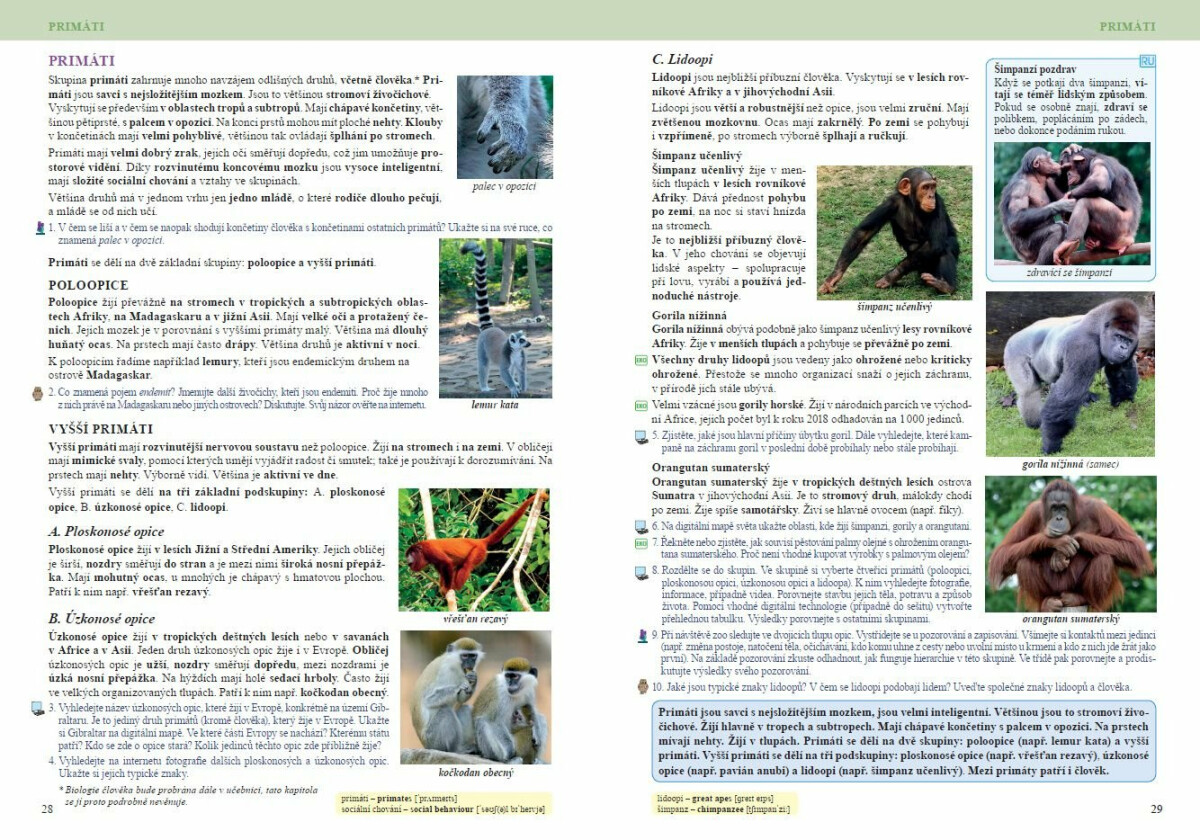 Přírodopis 8 – Savci a člověk, Čtení s porozuměním