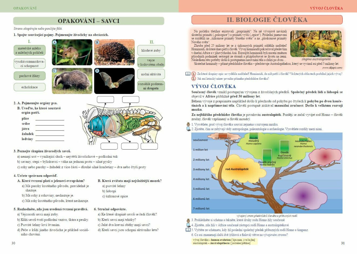 Přírodopis 8 – Savci a člověk, Čtení s porozuměním
