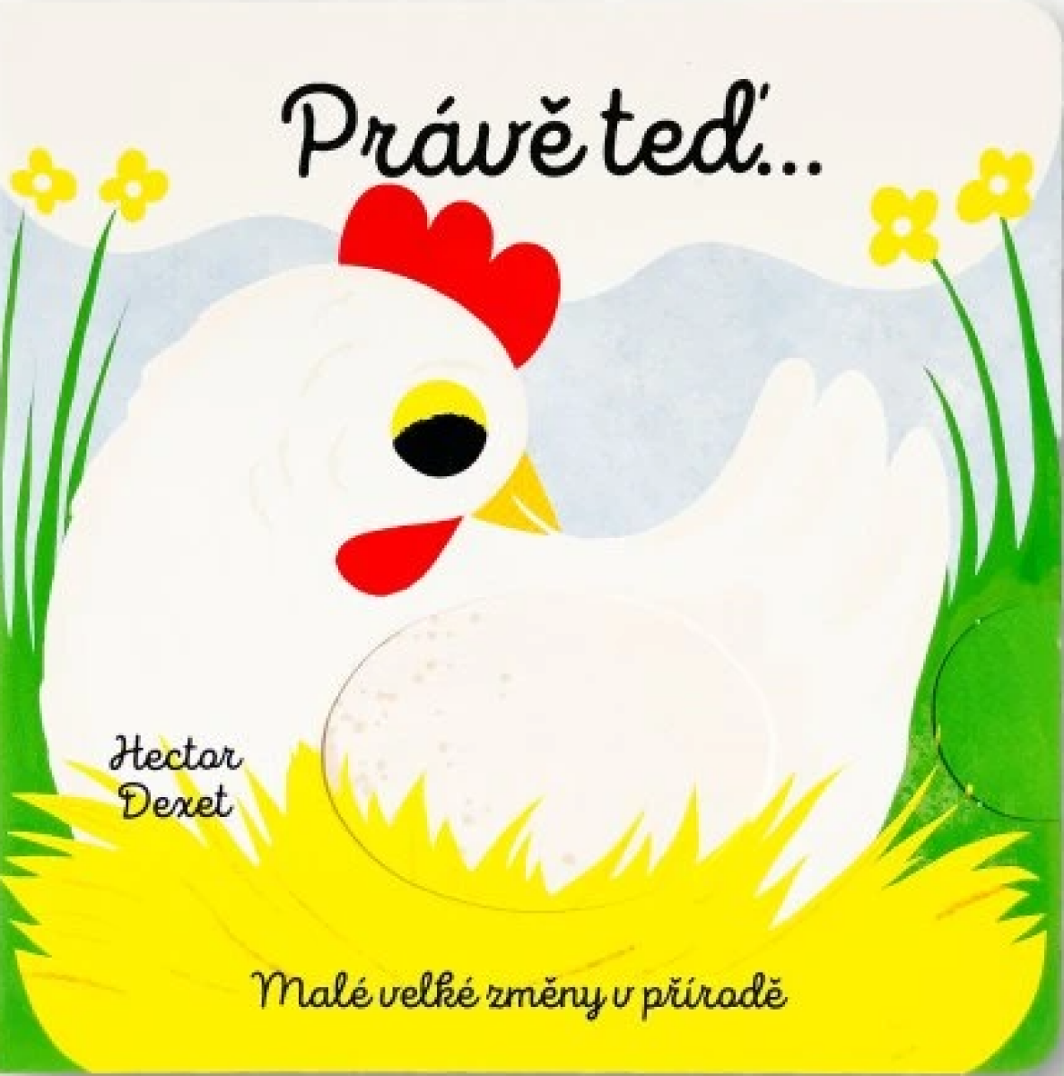 Kniha Právě teď… Malé velké změny v přírodě