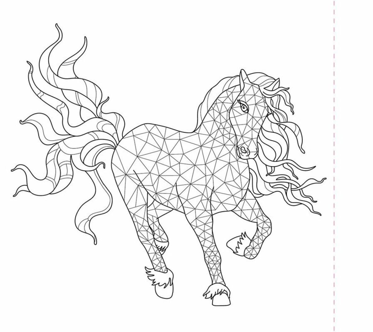 Zvířata – omalovánky – Andrea Brázdová