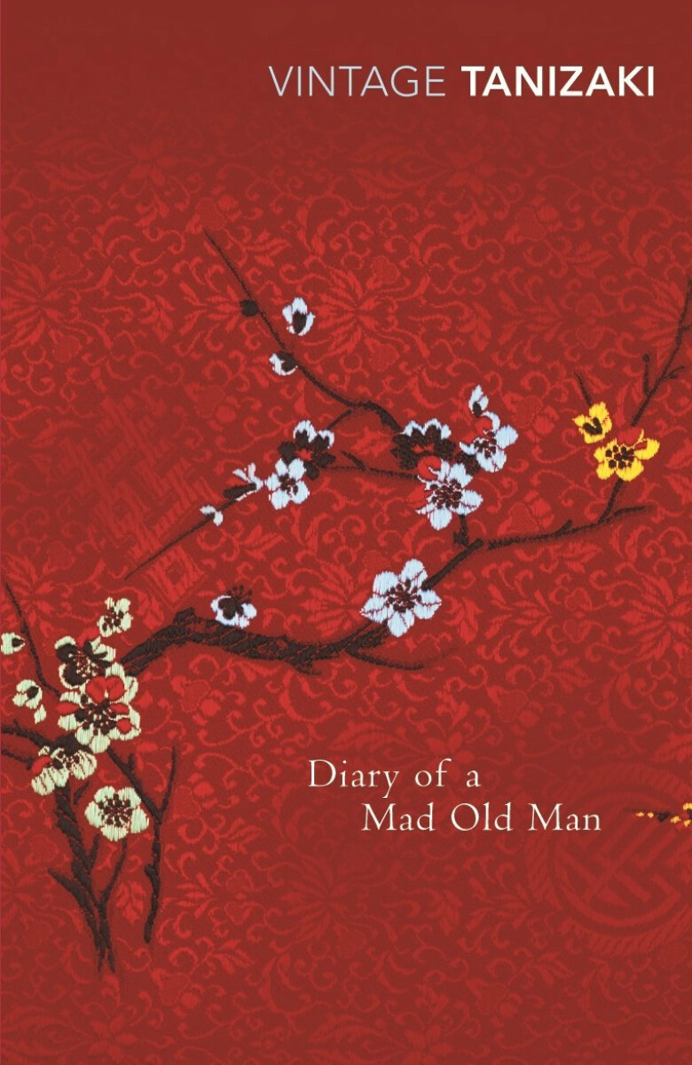 Kniha Diary of a Mad Old Man