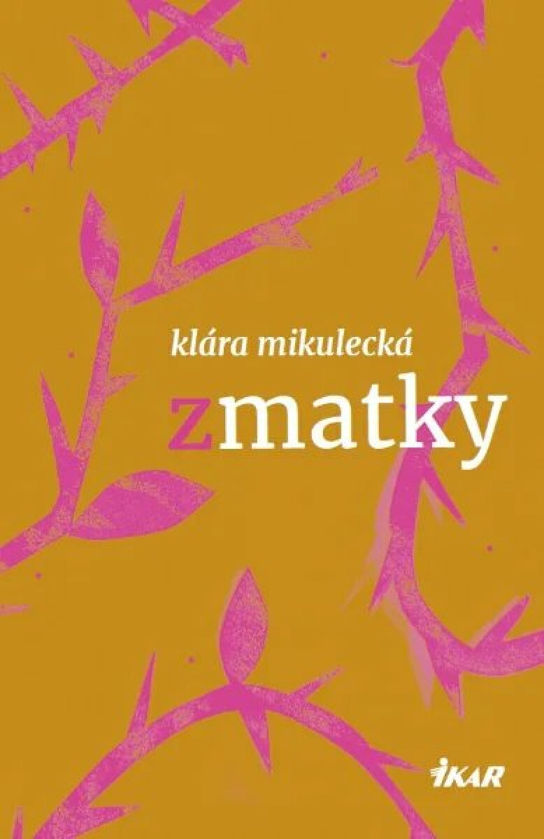 Kniha Zmatky