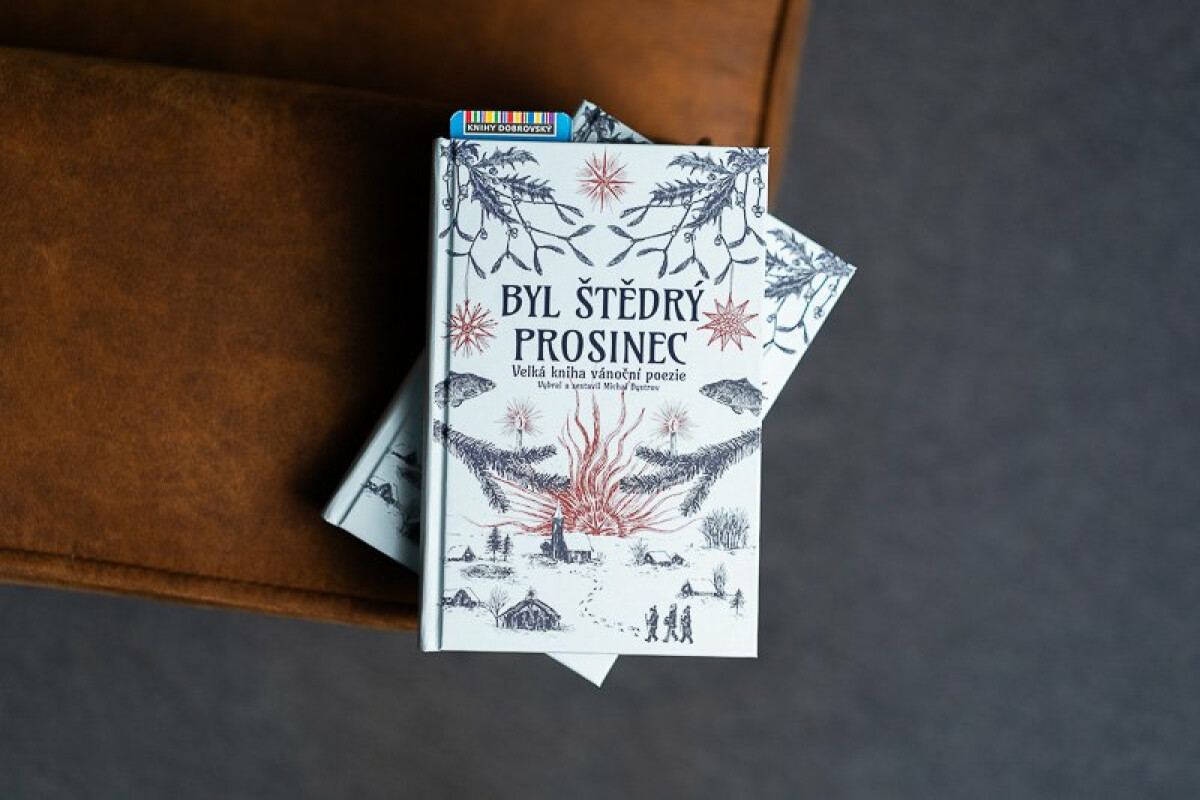 Byl štědrý prosinec - Michal Bystrov (obrázek 3)