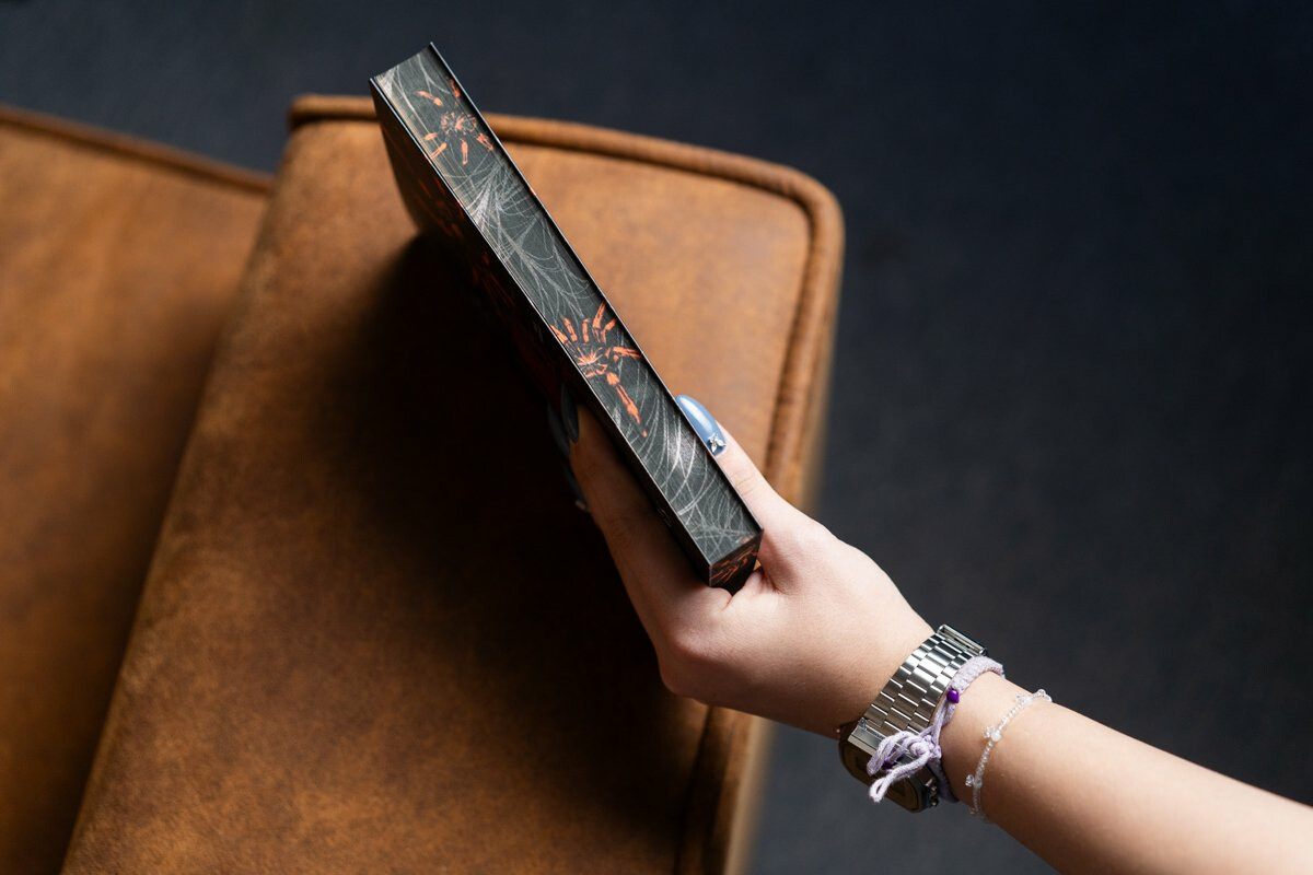 Little Stranger: Utíkej, holčičko - Leigh Rivers (obrázek 4)