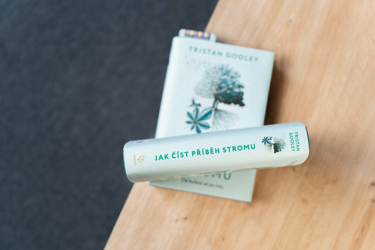 Jak číst příběh stromu - Od kořenů až po listy - Tristan Gooley - Obrázek 3