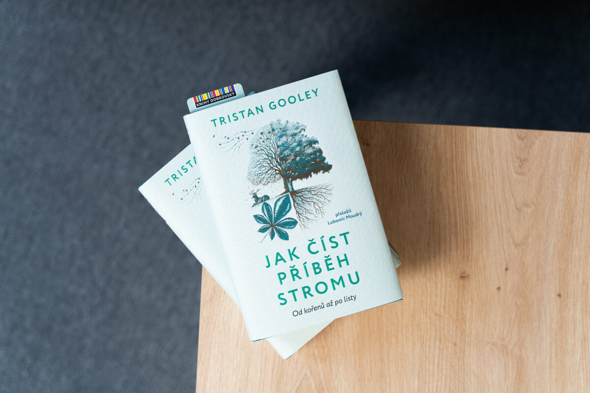 Jak číst příběh stromu - Od kořenů až po listy - Tristan Gooley - Obrázek 4