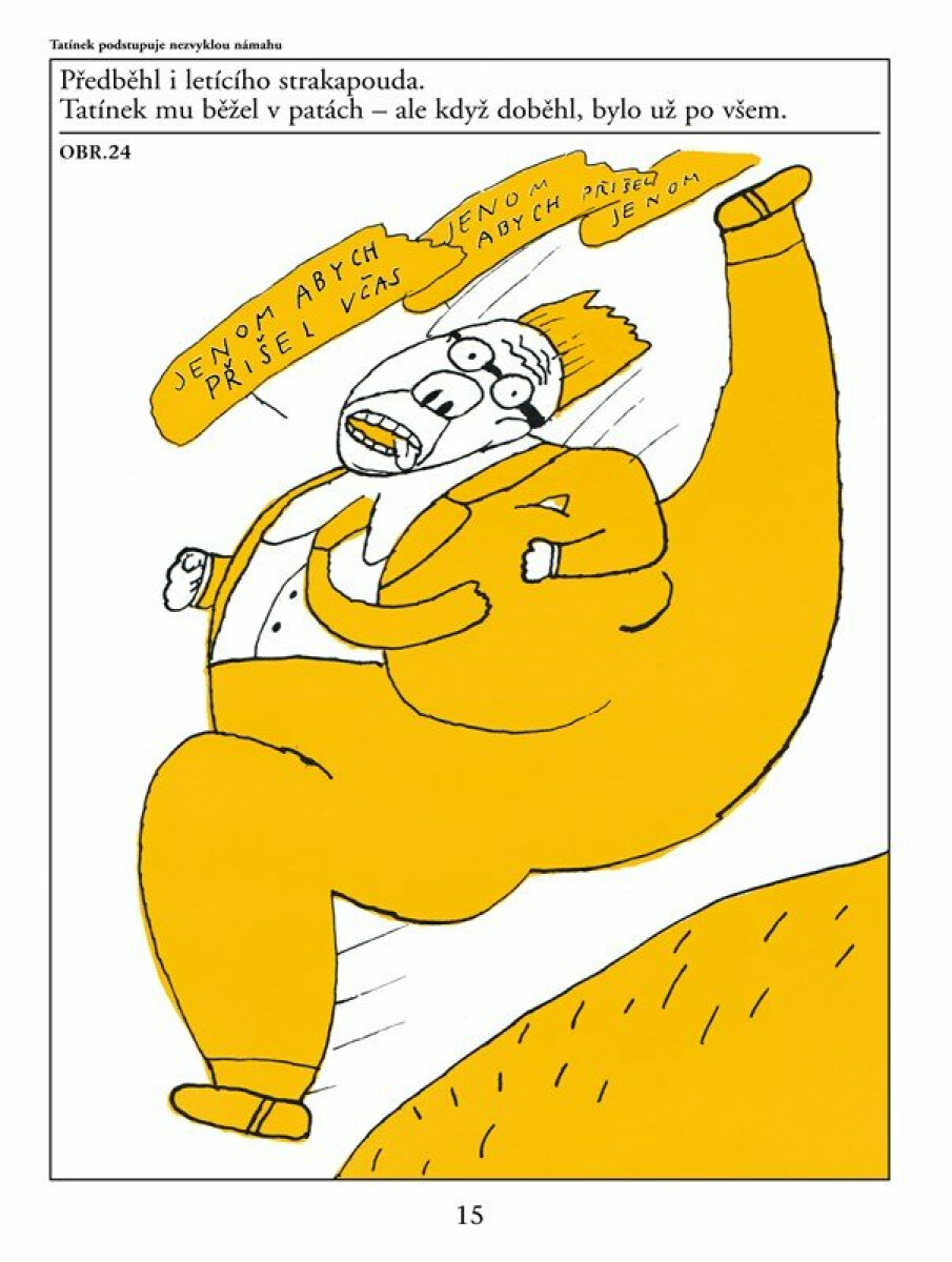 Maxipes Fík - Rudolf Čechura (obrázek 2)