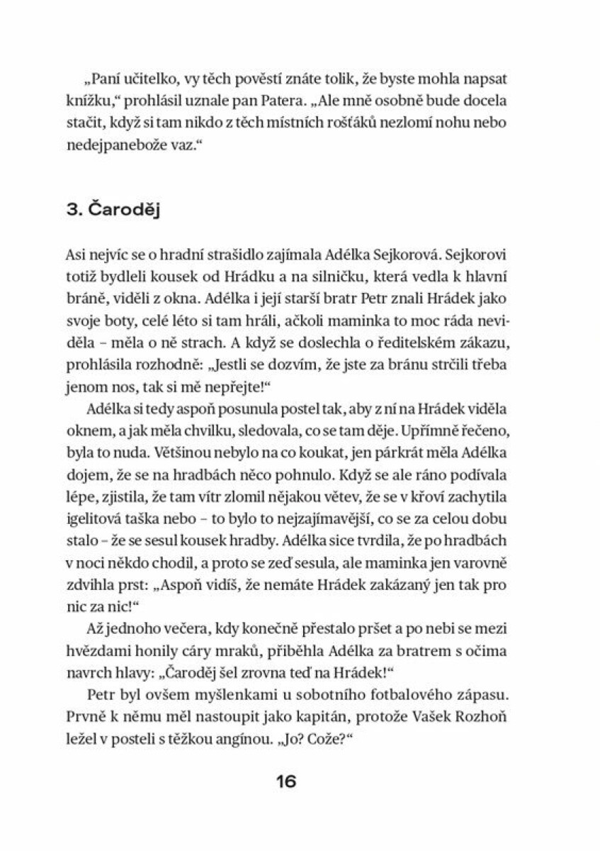 Případ školníkova kocoura - Veronika Volhejnová (obrázek 3)