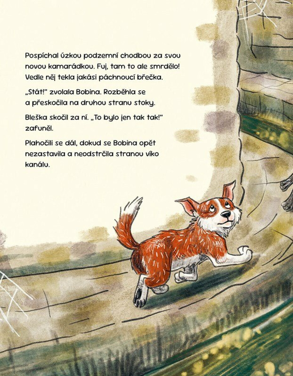 Bleška jde do města – Sophie Hofmann