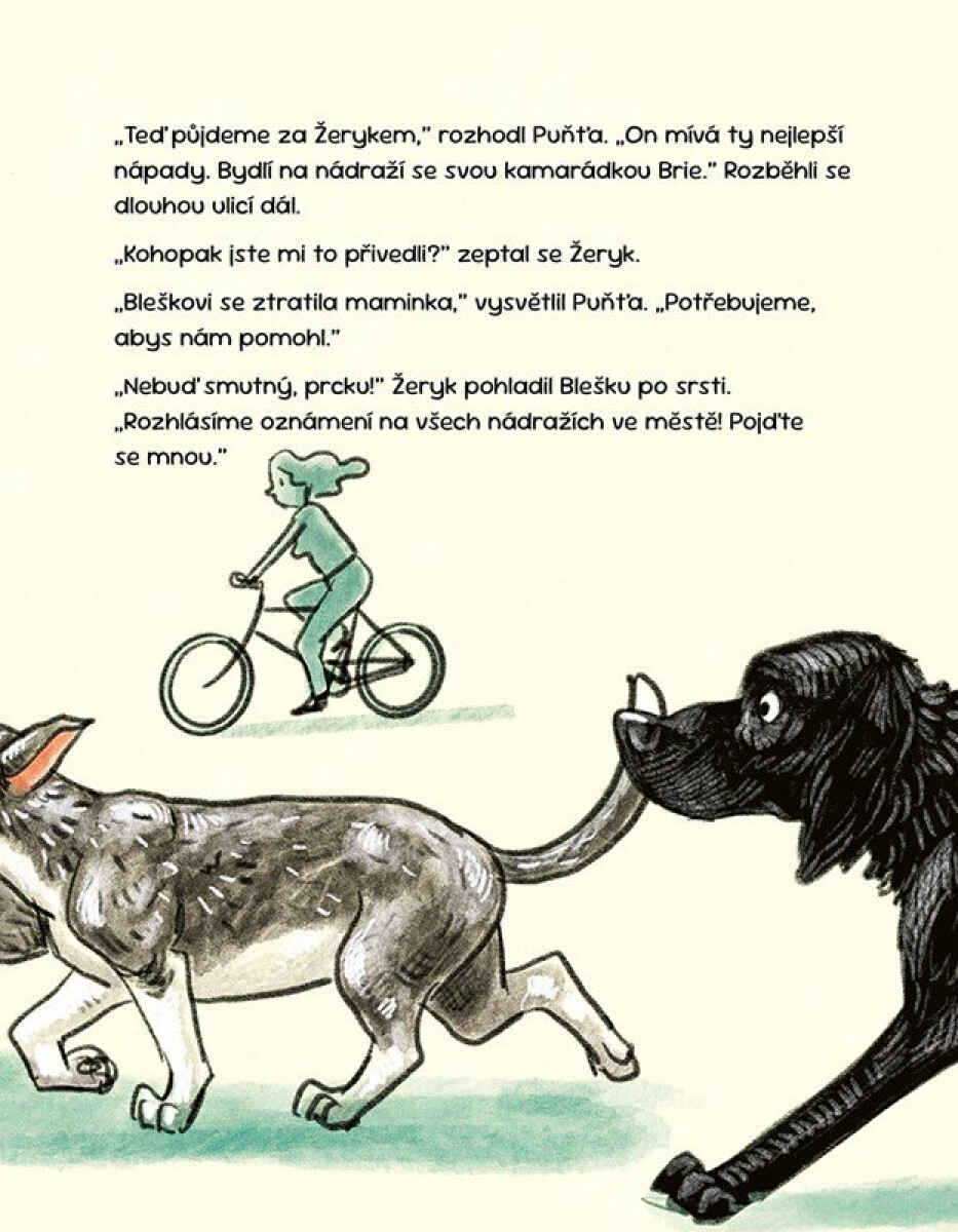 Bleška jde do města – Sophie Hofmann