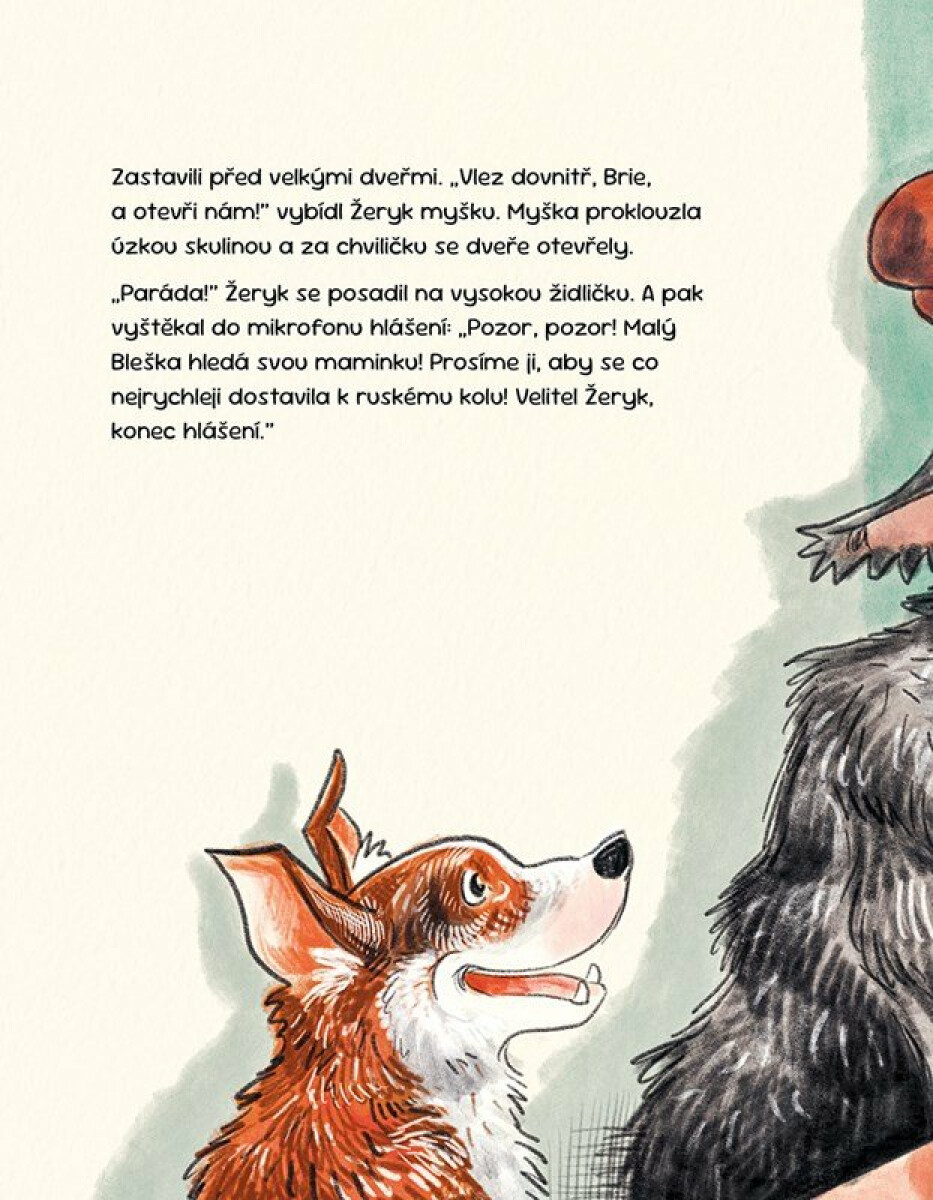 Bleška jde do města – Sophie Hofmann