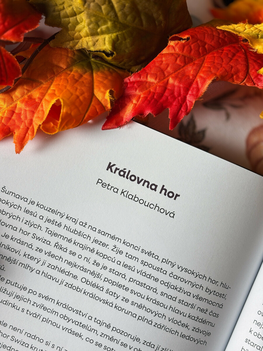 Pohádky před spaním - Petra Martišková, Petra Klabouchová, Robin Král, Jaromír Slomek, Petr Stančík, Pavla Chejnová, Anna Burdová, Pavel Hénik, Kristý (obrázek 6)