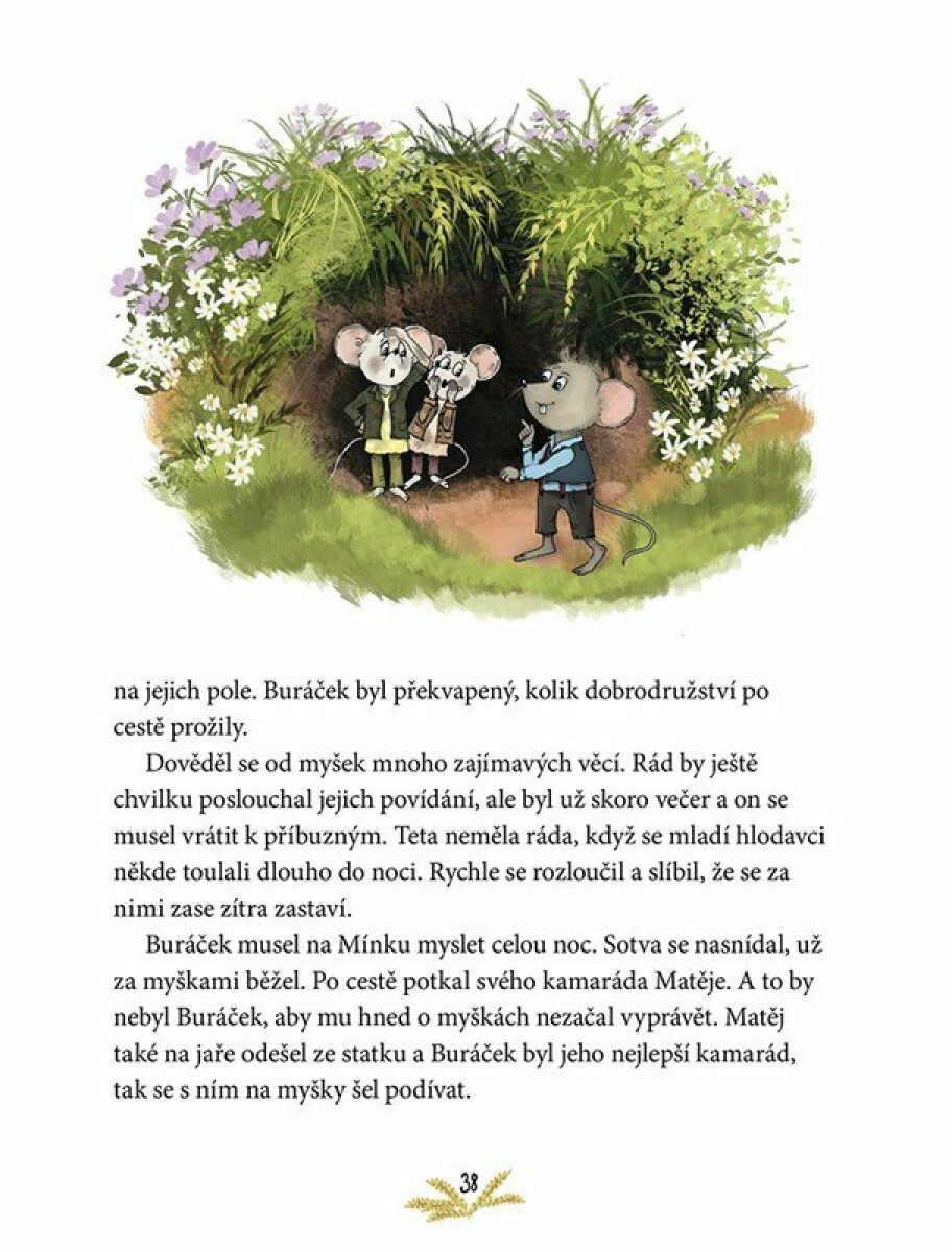 Mínka a Týnka – Příběhy z pšeničného pole - Zdeňka Šiborová (obrázek 4)