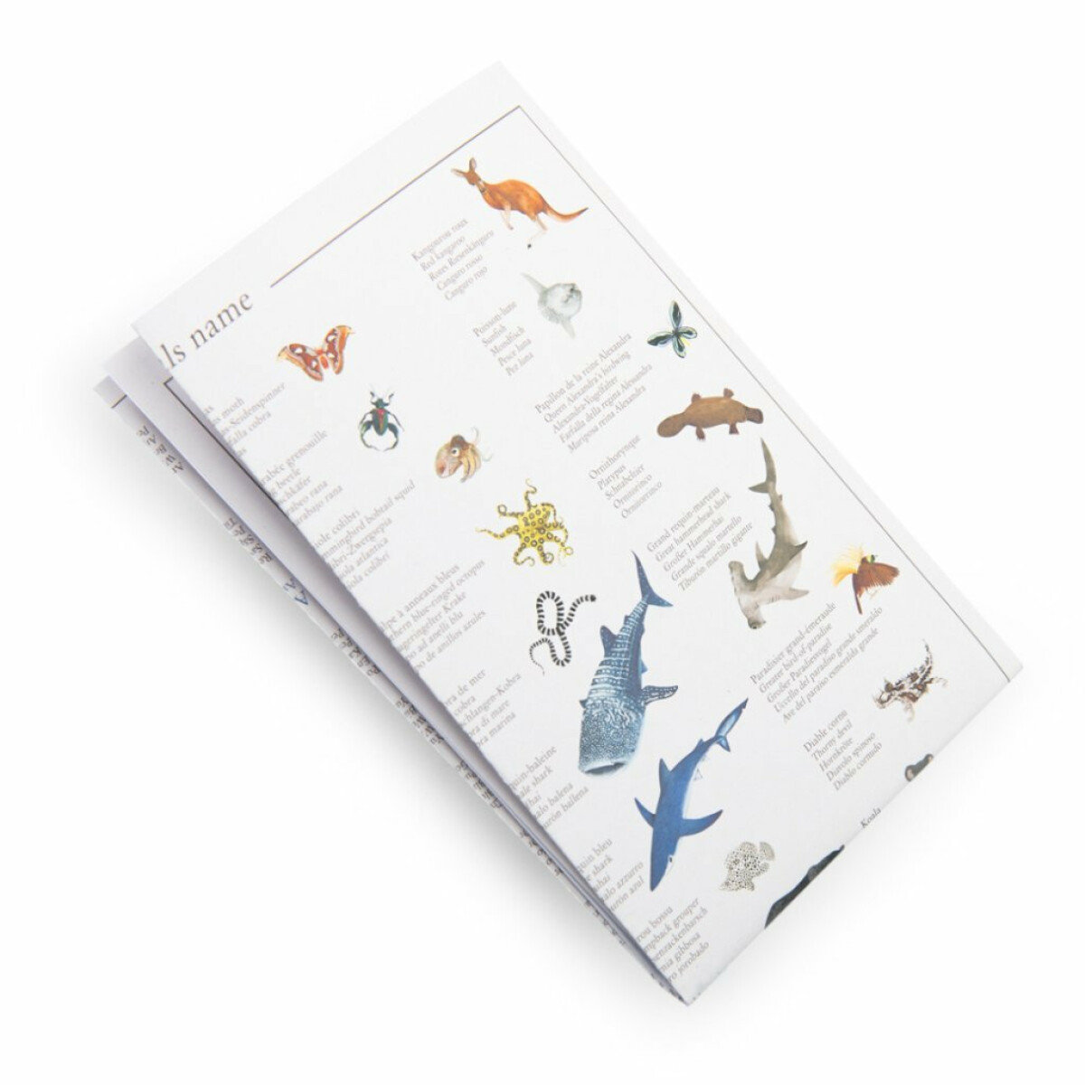 Hledej a najdi: Tout autour du monde - Obrázek 4