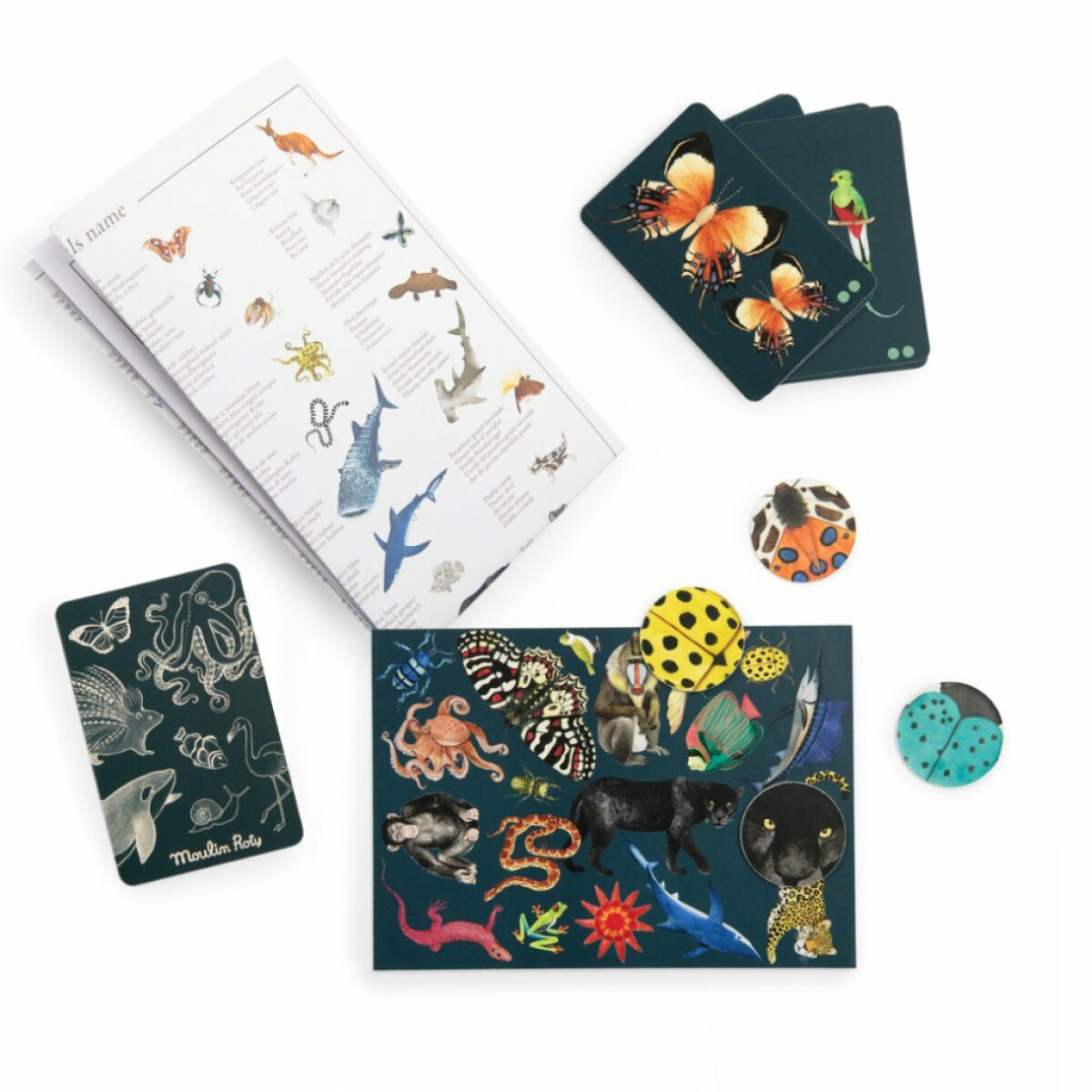 Hledej a najdi: Tout autour du monde - Obrázek 7