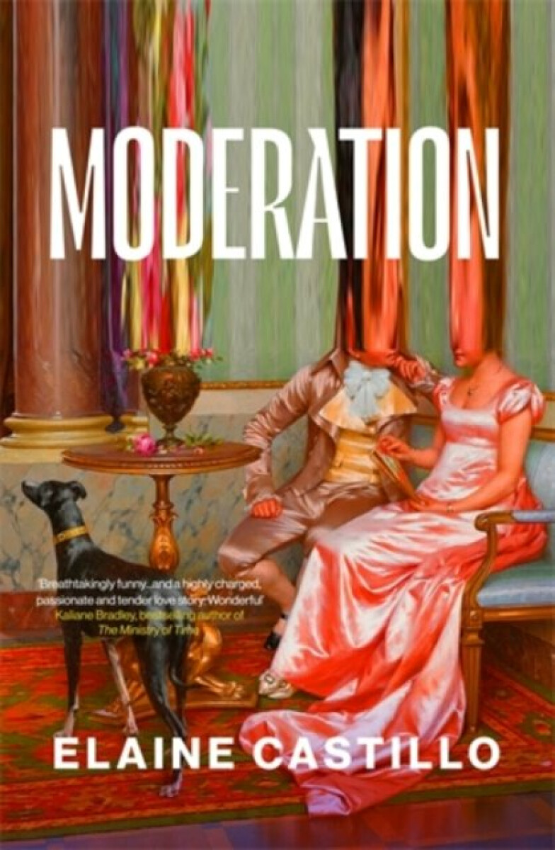 Kniha Moderation