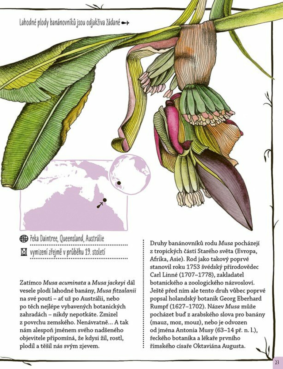 Kniha mizejících rostlin (obrázek 3)