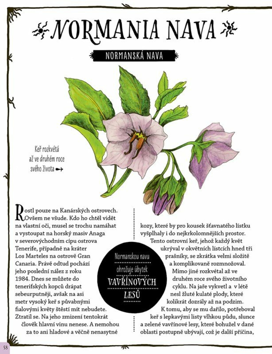 Kniha mizejících rostlin (obrázek 4)