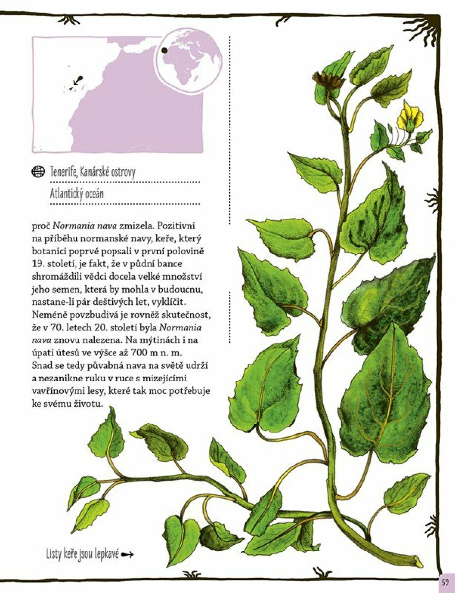 Kniha mizejících rostlin (obrázek 5)