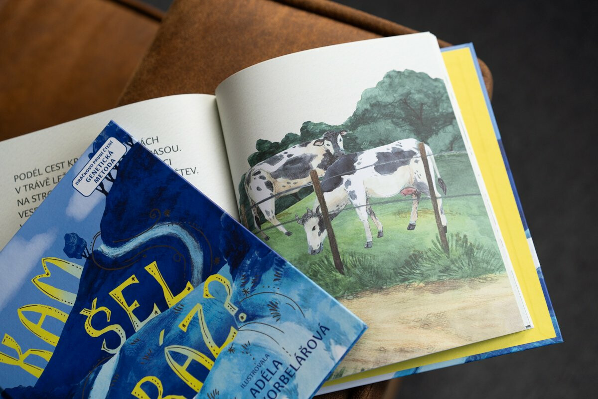 Kam šel mráz? – Vladimíra Staňková