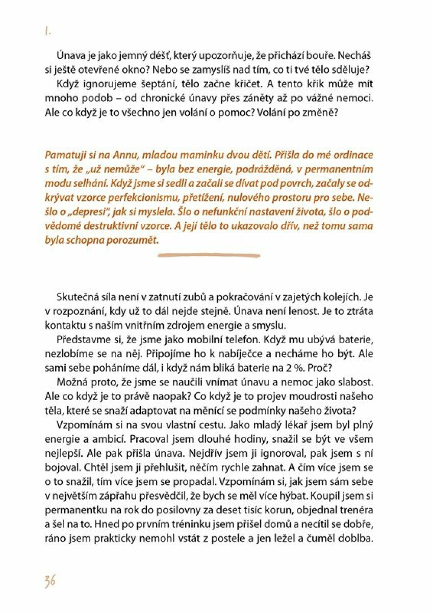 Jan Vojáček: Únava není normální - Jan Vojáček (obrázek 3)