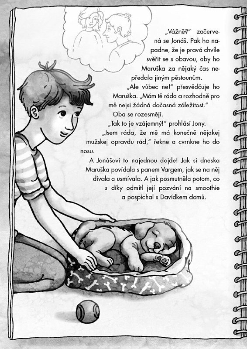 Zvířecí pomocníci – Jonáš a léčivý koník Jitřenka – Anna Burdová