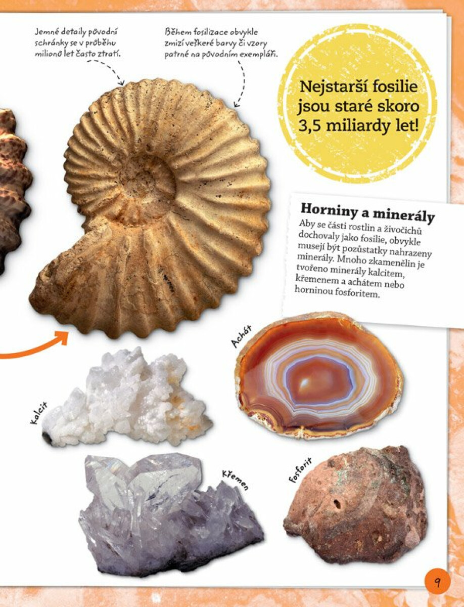 Objevuj a poznávej: Fosílie (obrázek 3)
