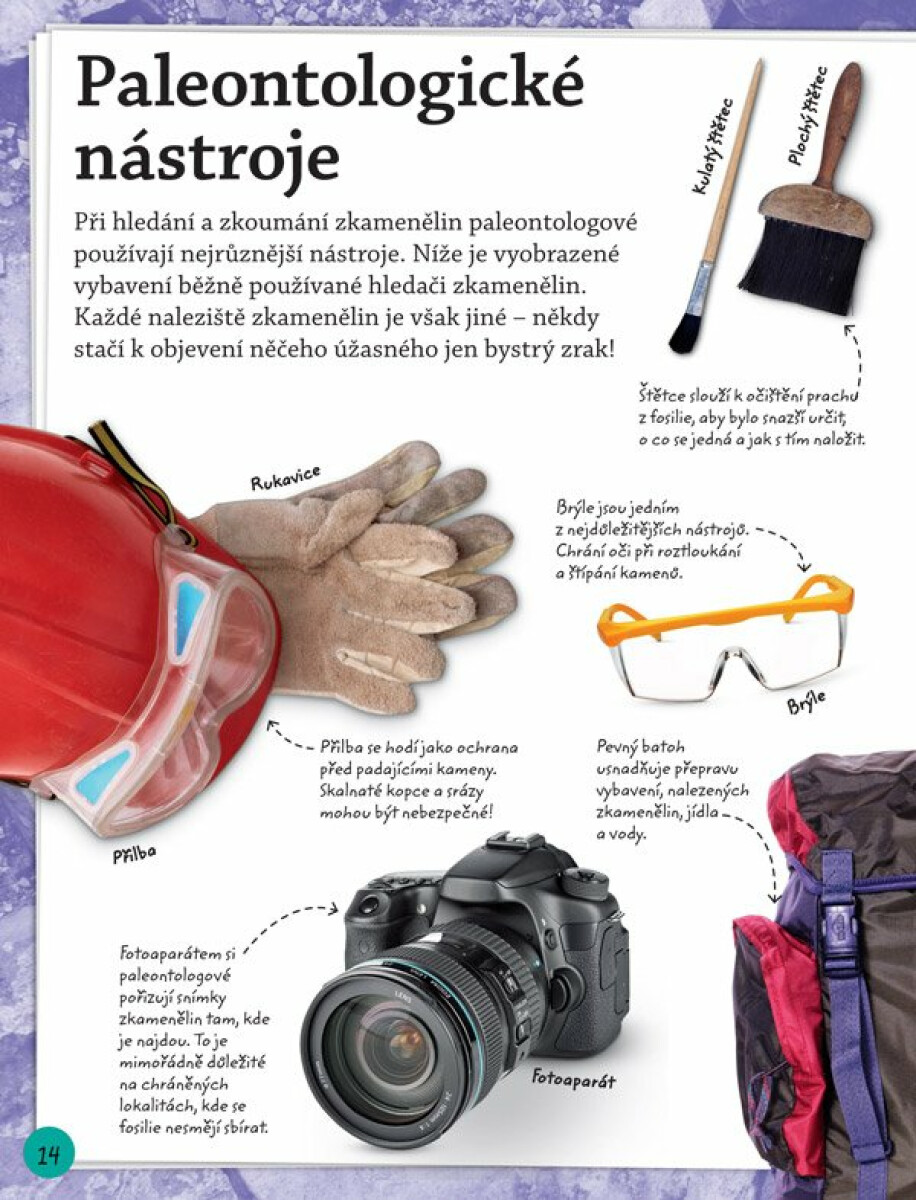 Objevuj a poznávej: Fosílie (obrázek 4)