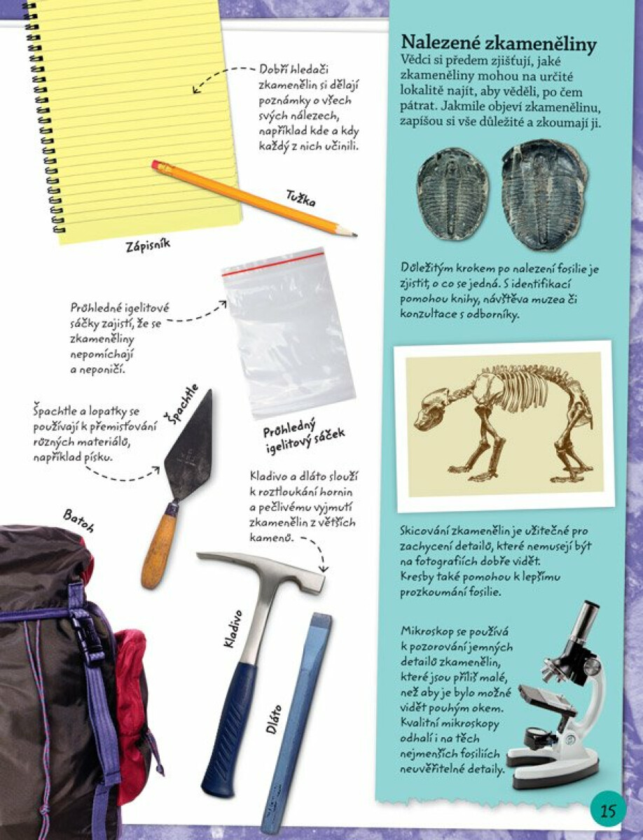 Objevuj a poznávej: Fosílie (obrázek 5)