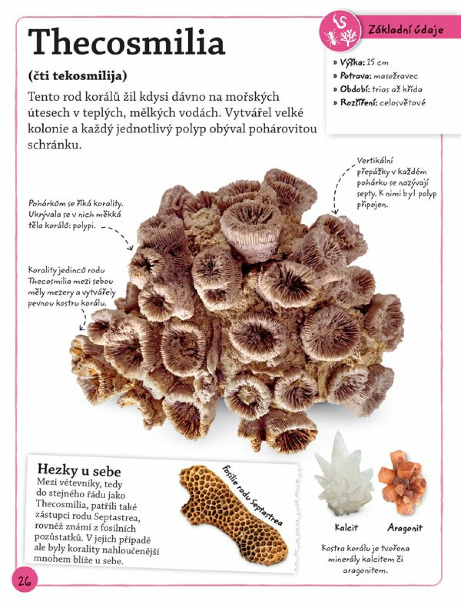 Objevuj a poznávej: Fosílie (obrázek 6)